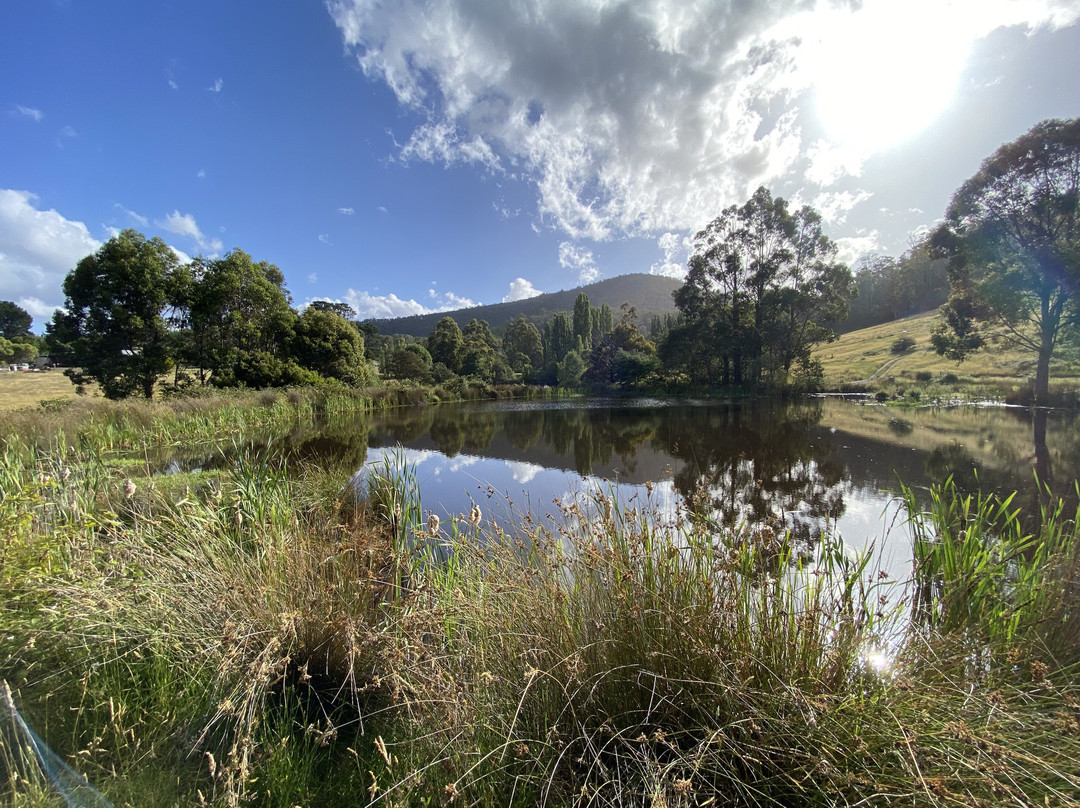 哈姆雷特丘陵地区住宿主图