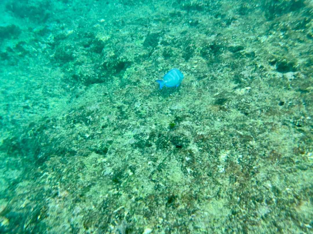 West View-圣安德烈斯岛必去景点