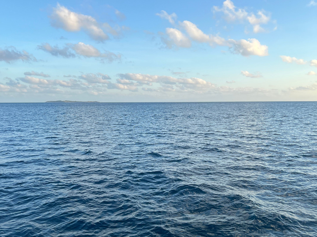 Heavenly Days Catamaran-夏洛特阿马利亚必去景点