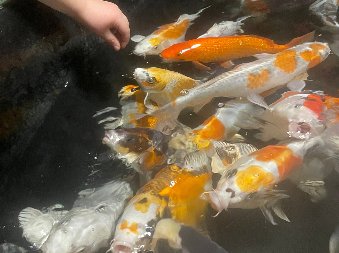 Erlebnispark Meeresaquarium景点图片