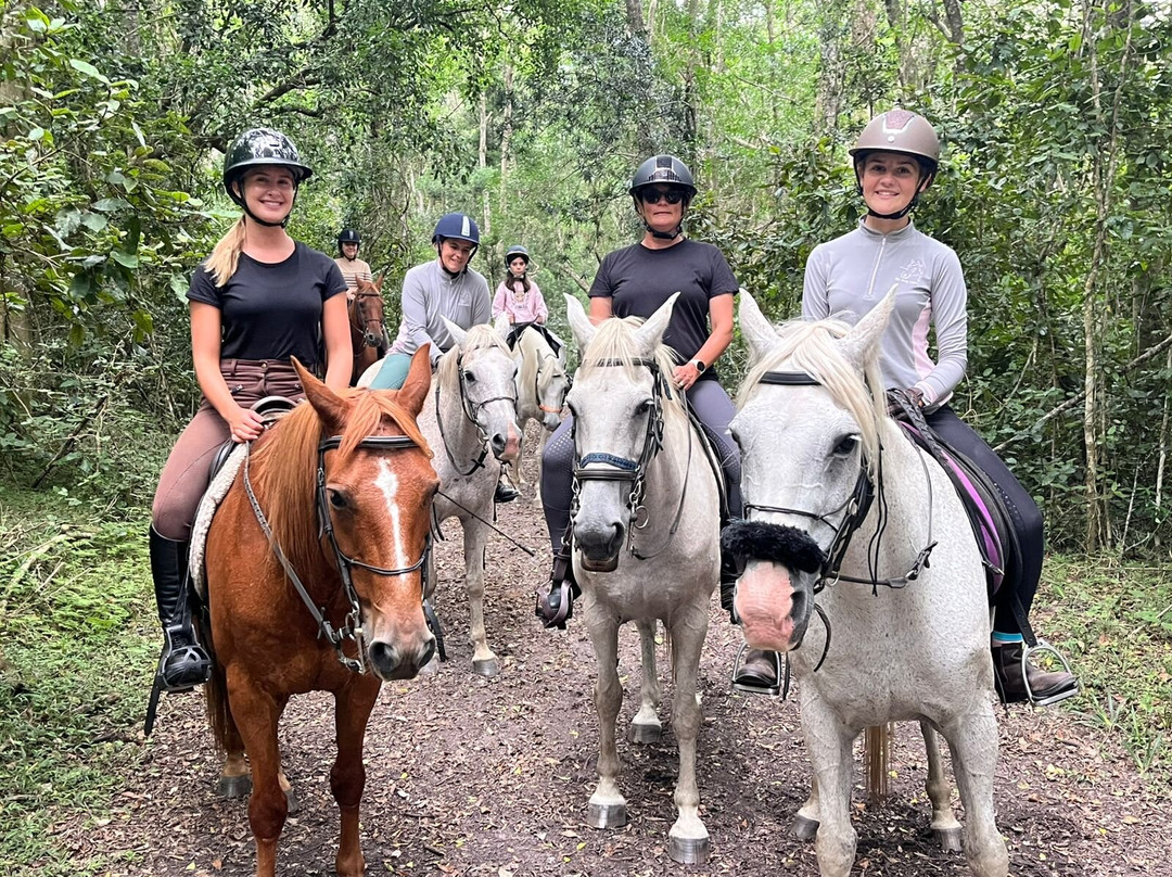 Perdepoort Horse Tails-荒野必去景点