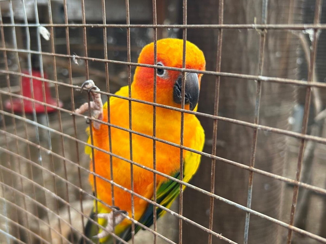 Núcleo Zoológico Iris-Barbastro必去景点