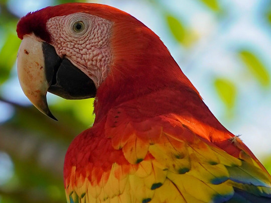 Tours and More CR-圣特雷莎必去景点