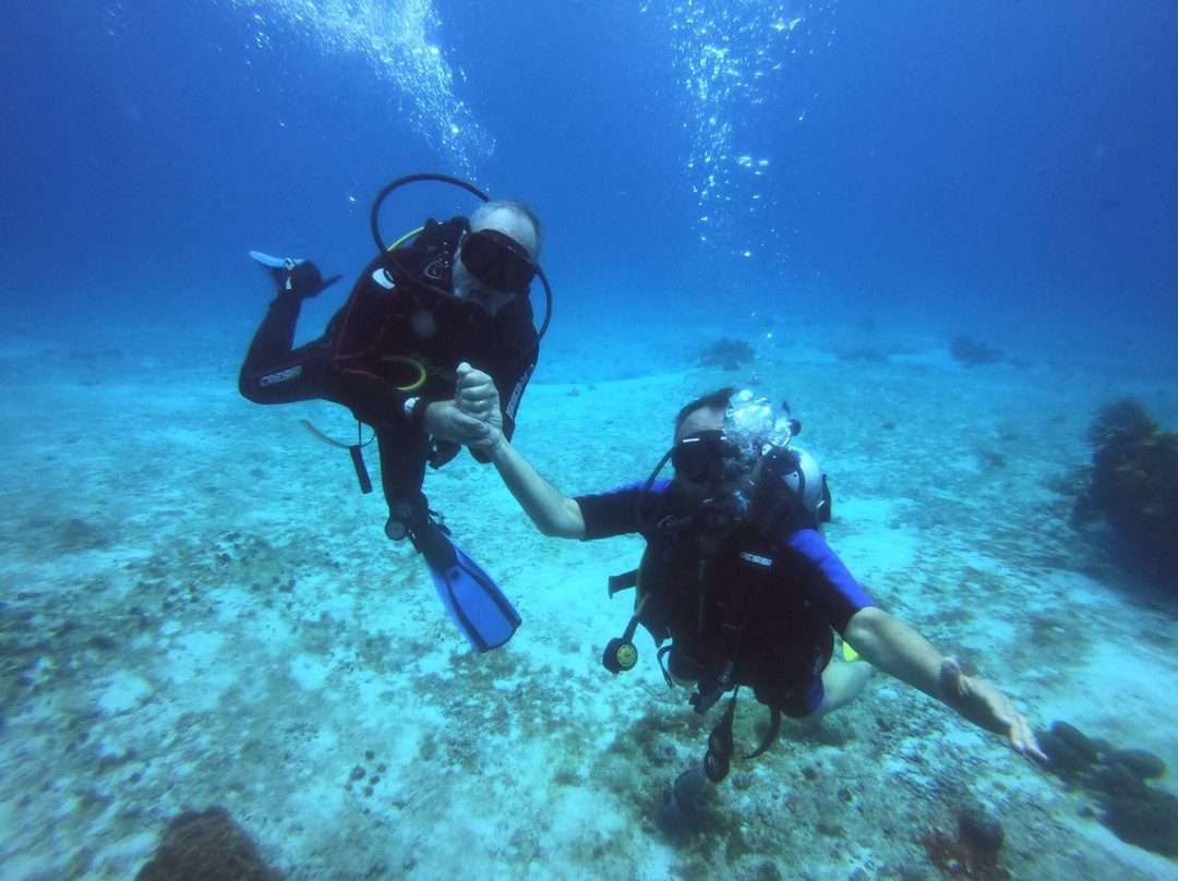 Barefoot Dive Center景点图片