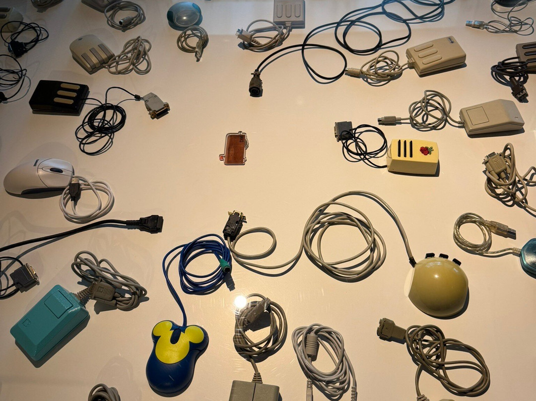 计算机历史博物馆-山景城必去景点