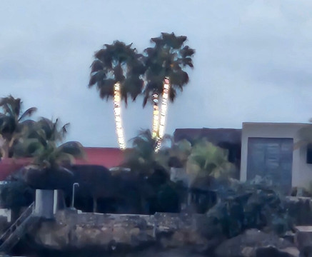 LADY BELLAÏS by Bonaire Cruisers-Kralendijk必去景点