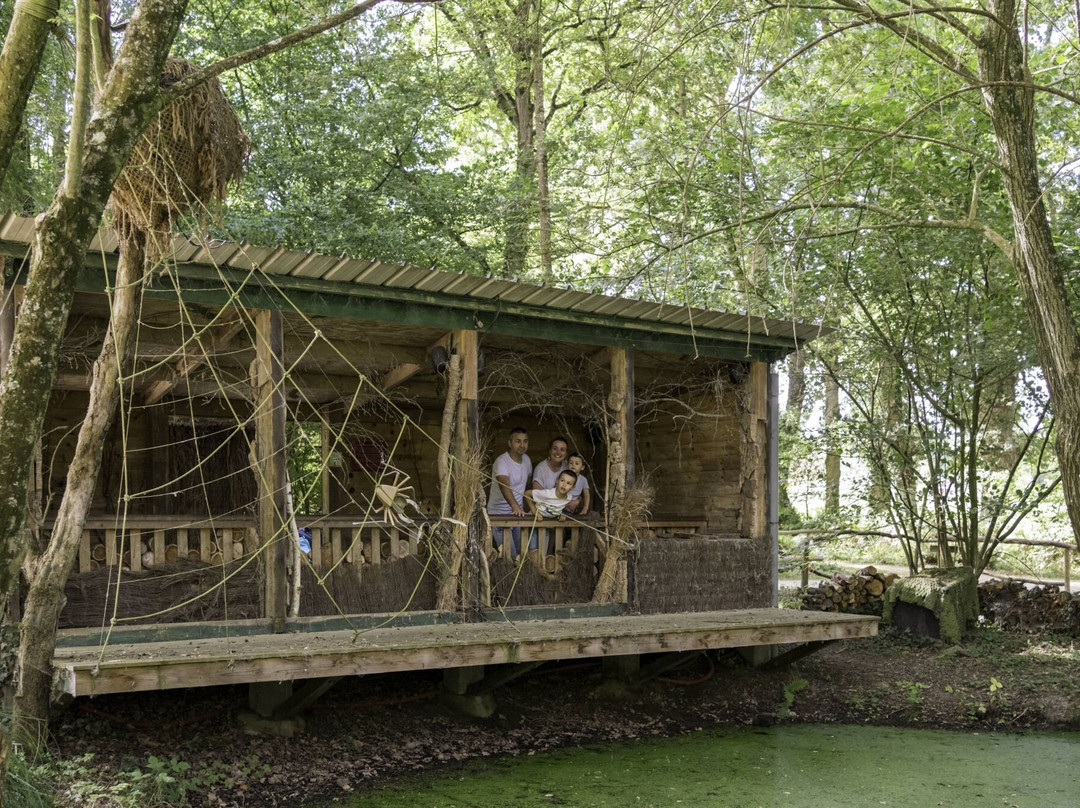Les Jardins De Brocéliande景点图片