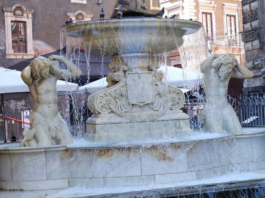 Fontana dell'Amenano-卡塔尼亚必去景点
