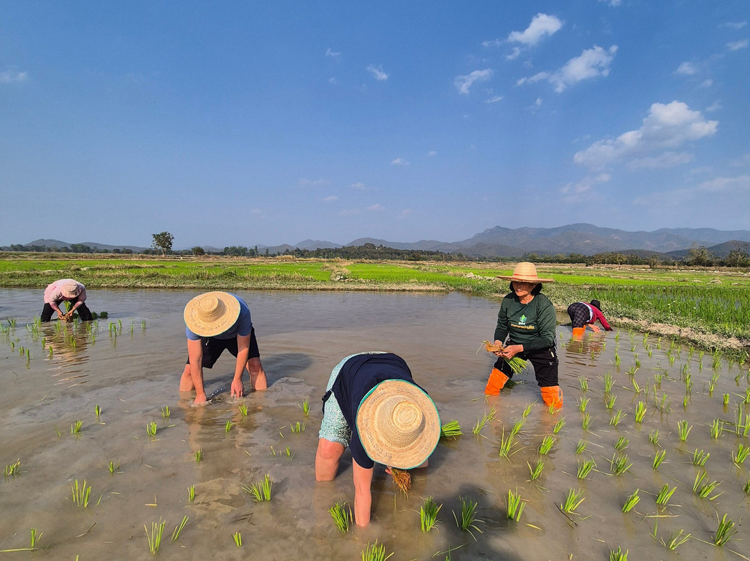 Banthi Tour-南奔必去景点