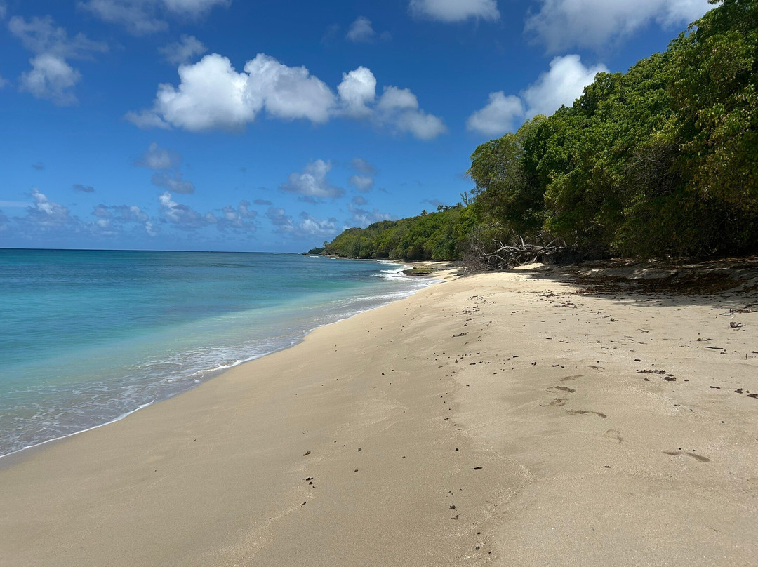Kayaking Barbados-Saint Lucy Parish必去景点