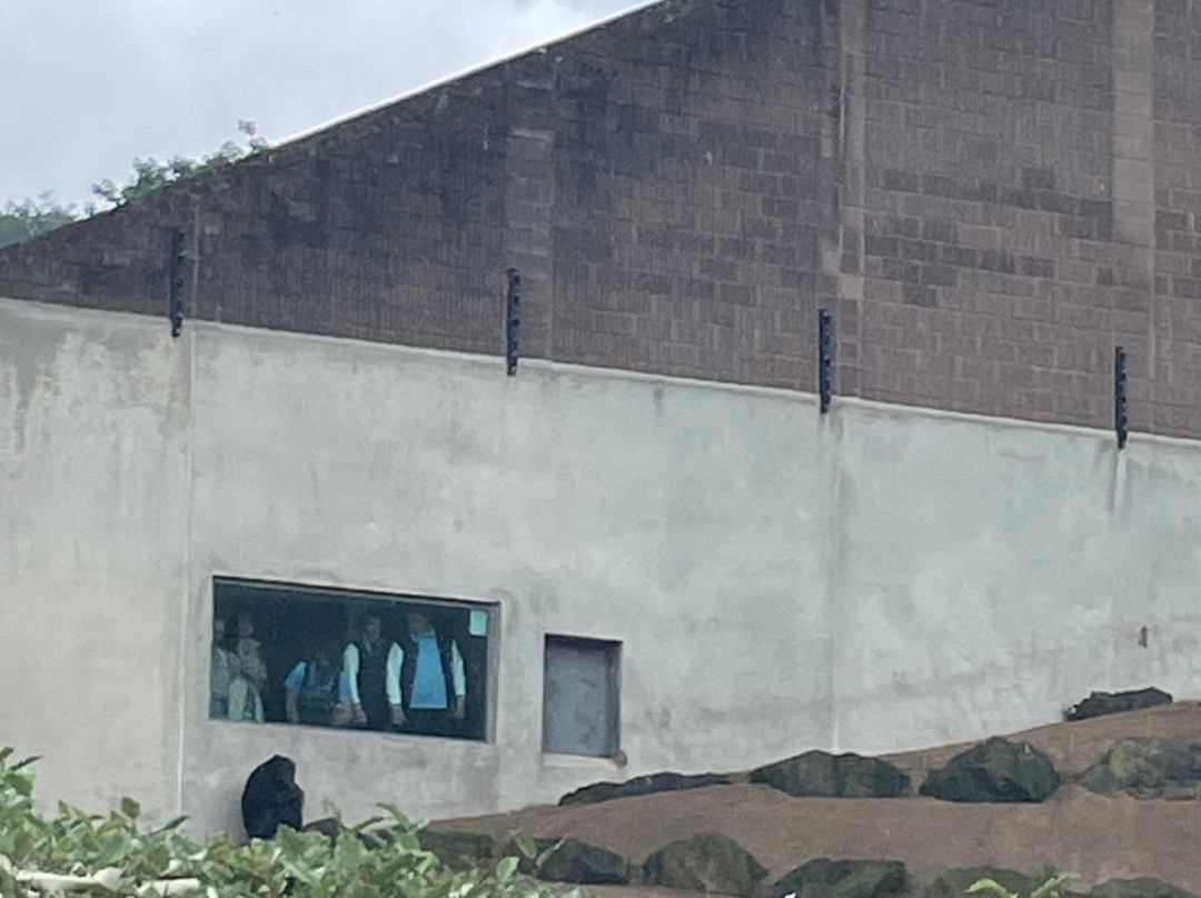 Belfast Zoo景点图片