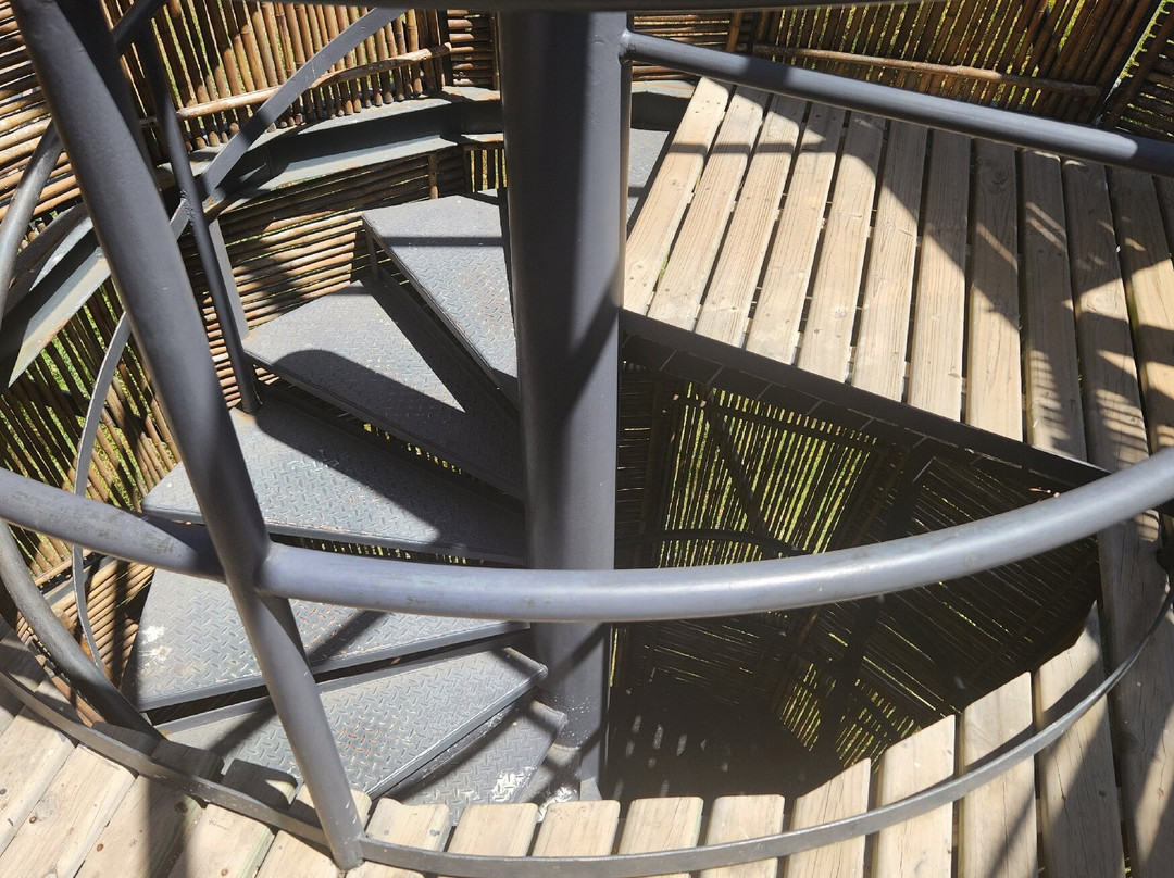 Parque Humedal Río Maípo-Santo Domingo必去景点