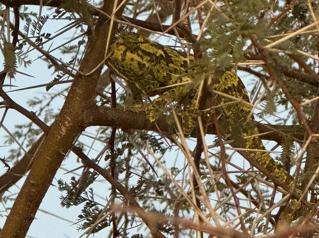 Hohenstein Lodge主图