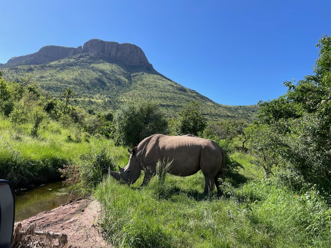 Marula Cottage Guest Lodge主图
