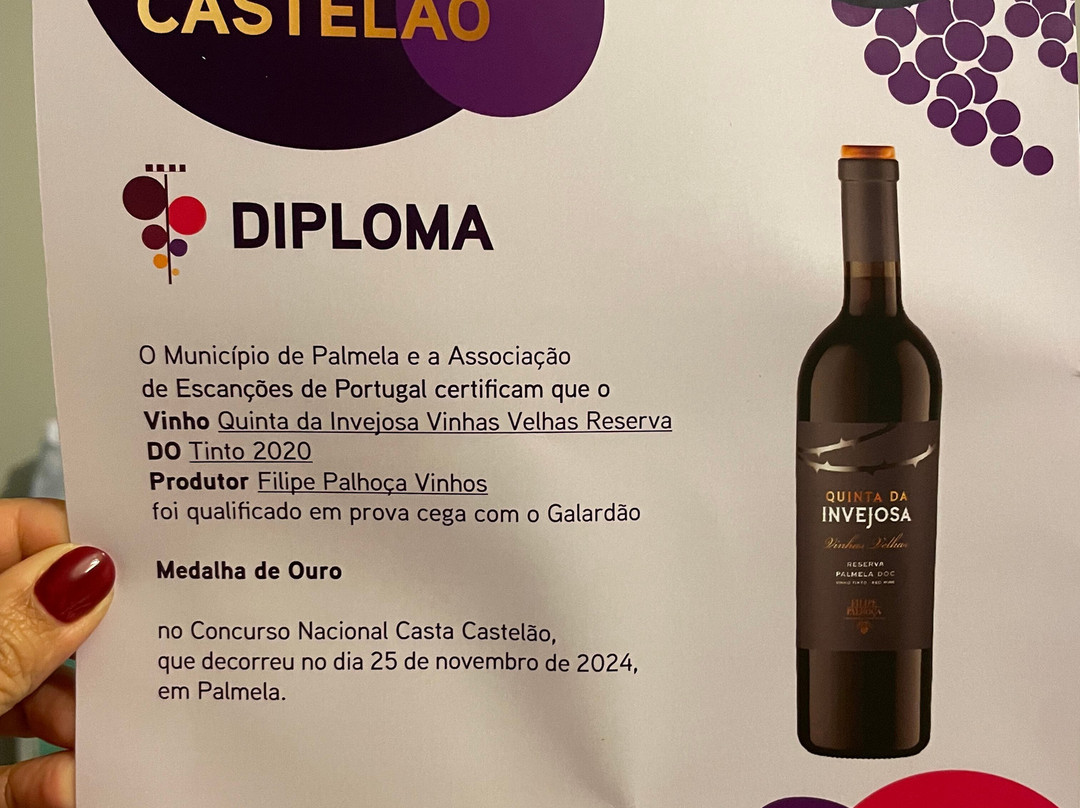 Filipe Palhoca Wines-Palmela必去景点