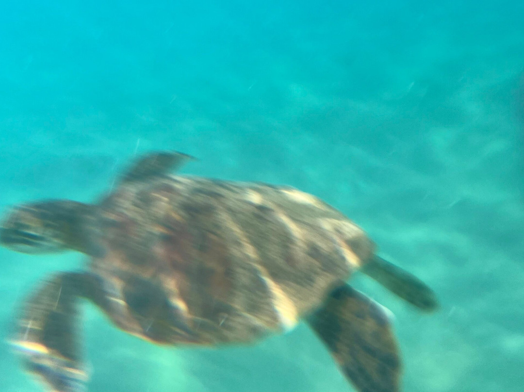 Black Rock Beach-卡纳帕利必去景点