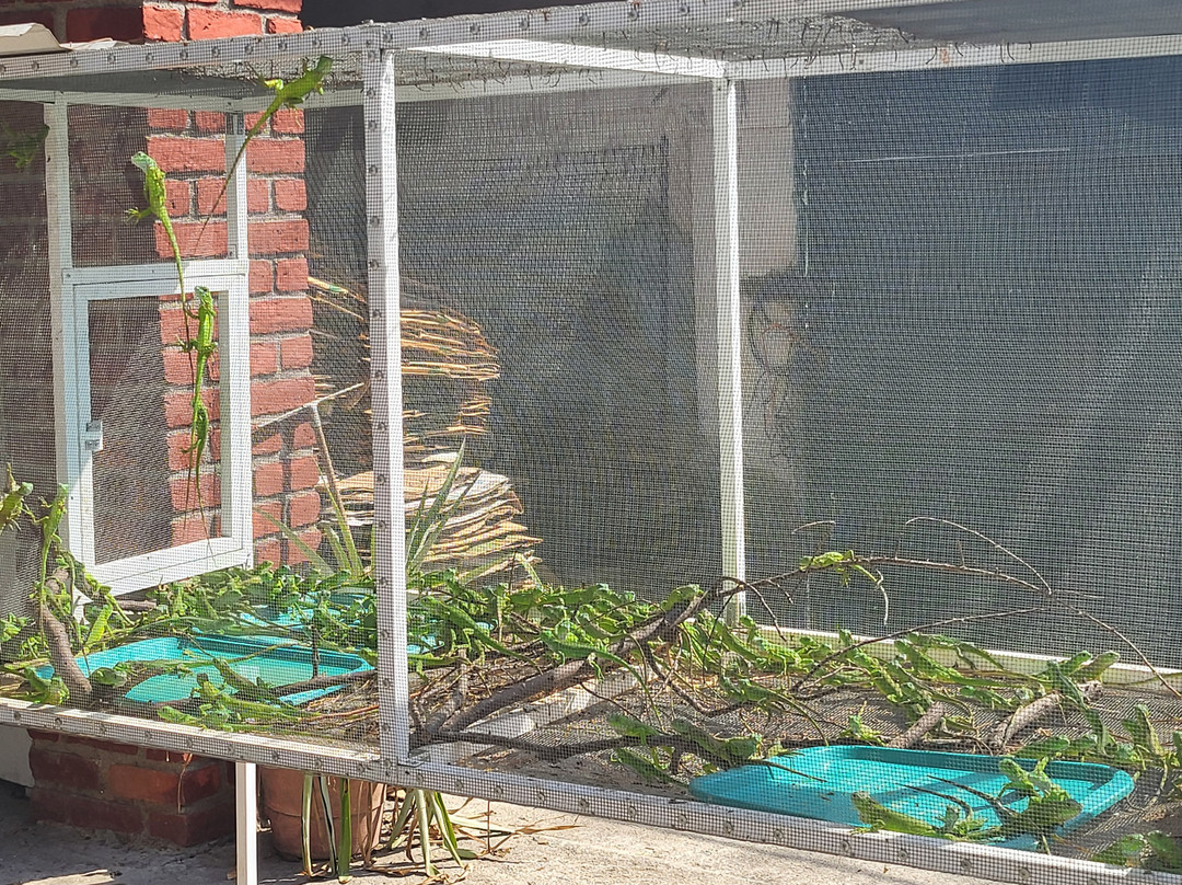 Iguanario Archundia-曼萨尼约必去景点