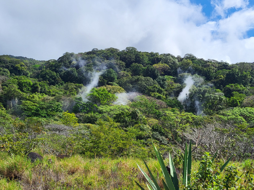 Parque Nacional Rincón de la Vieja景点图片