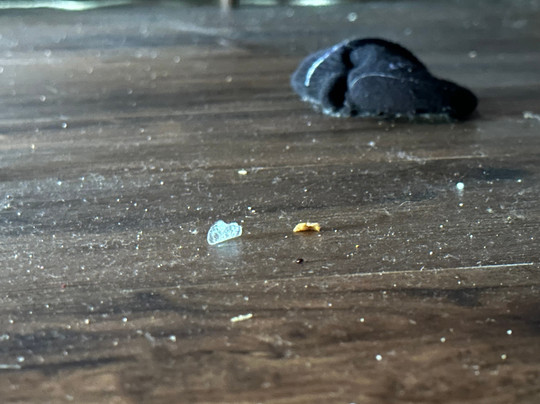 Econo Lodge Sebring主图