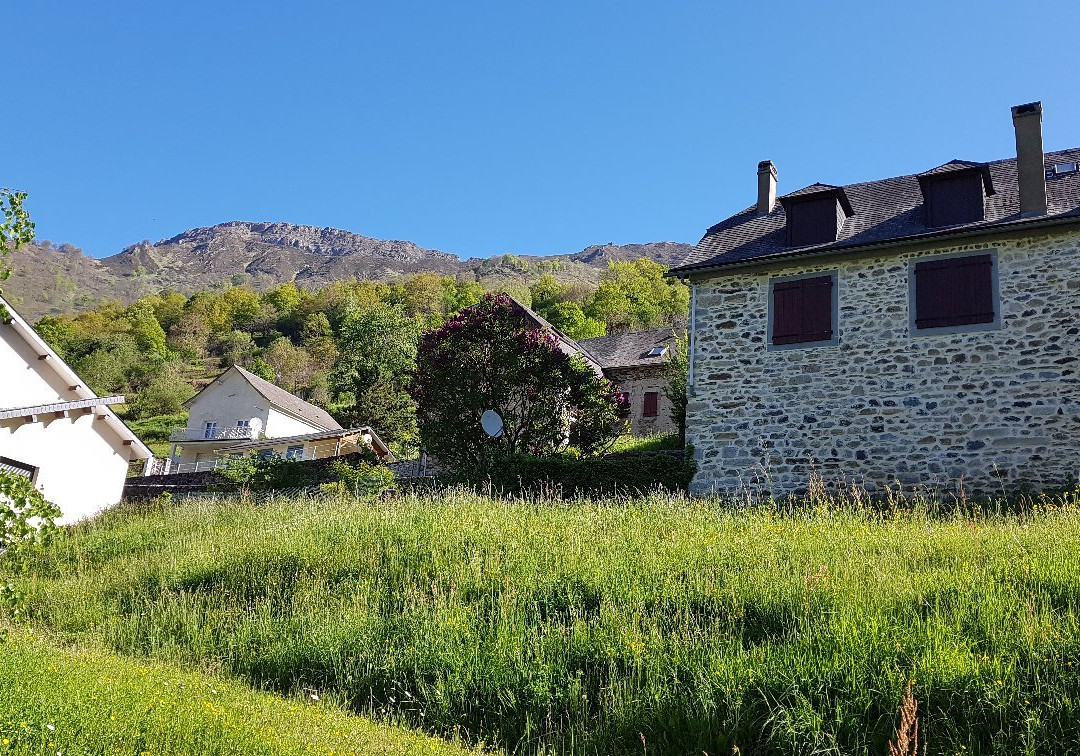 Chateau d'Arance主图