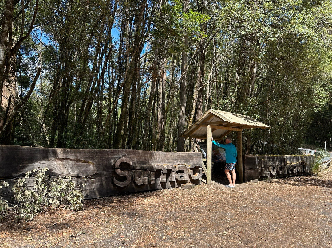 The Tarkine Drive景点图片
