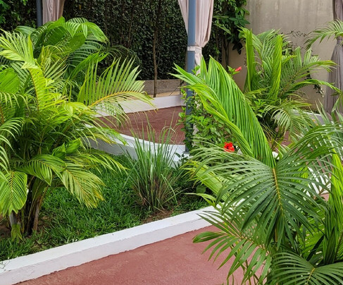 Residence Eburnea主图