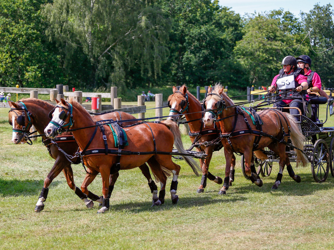 Sandringham Festival Of Carriage Driving 2025-Sandringham必去景点