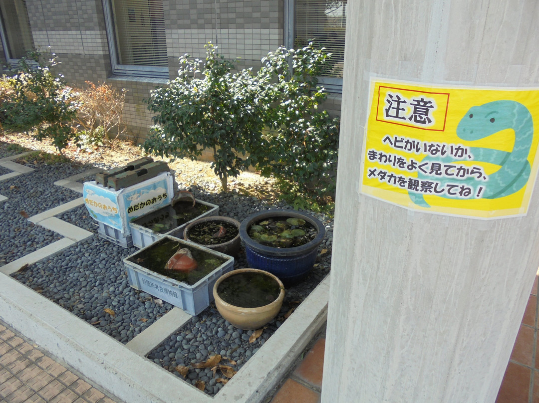 Suzuka Municipal Museum of Archaeology-铃鹿市必去景点