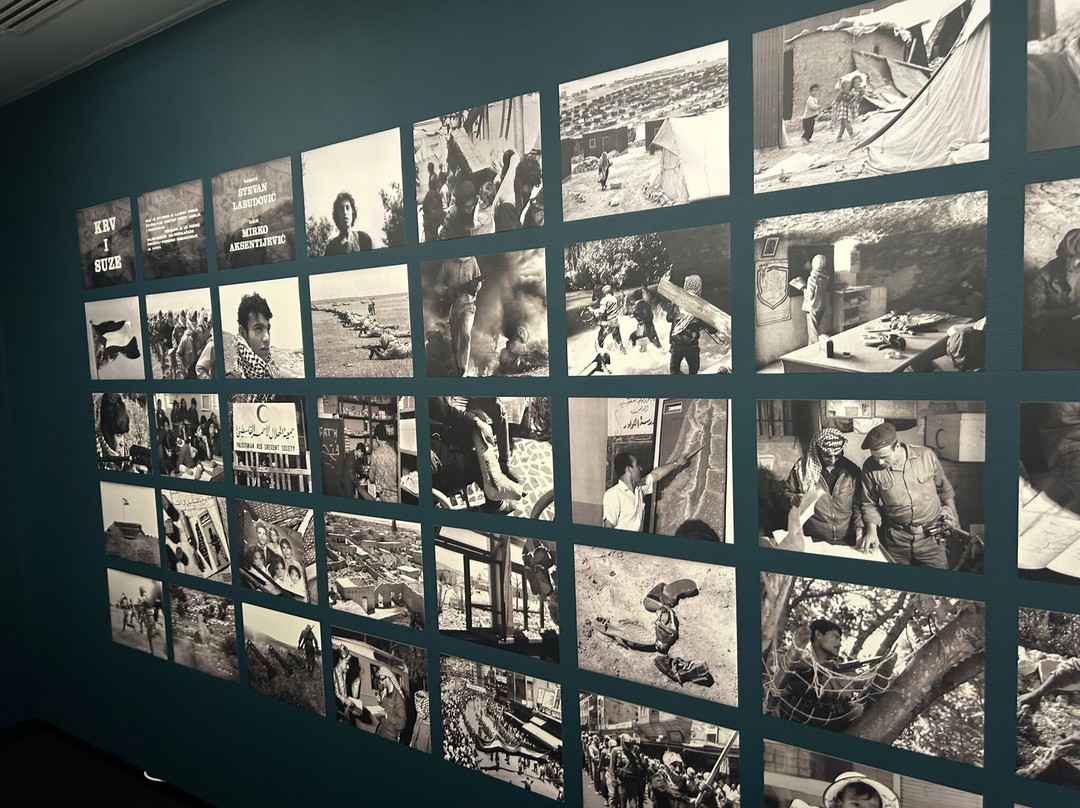 Sharjah Art Museum-沙迦必去景点