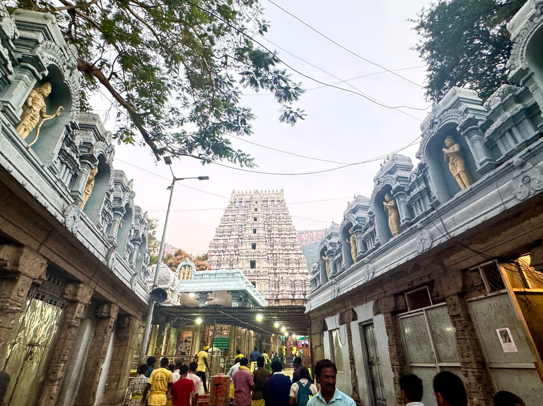 Tirumala Tirupati Devasthanams景点图片