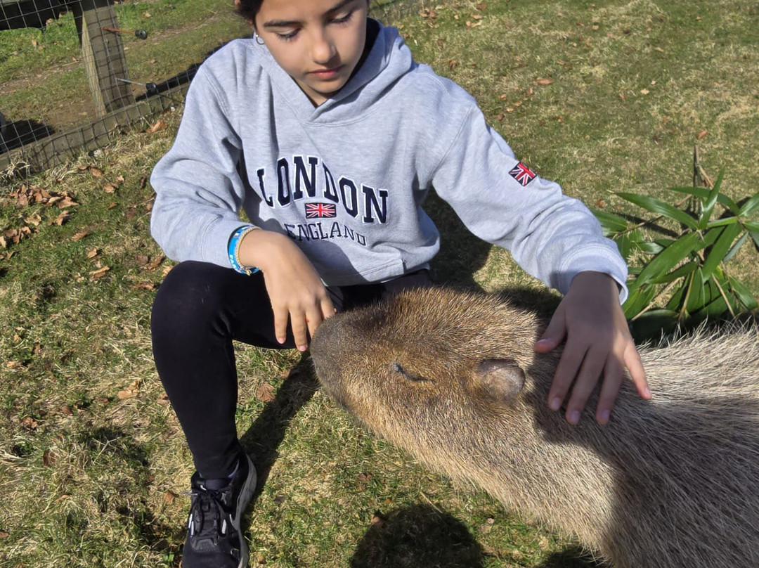 Secret Valley Wildlife Park-韦克斯福德必去景点