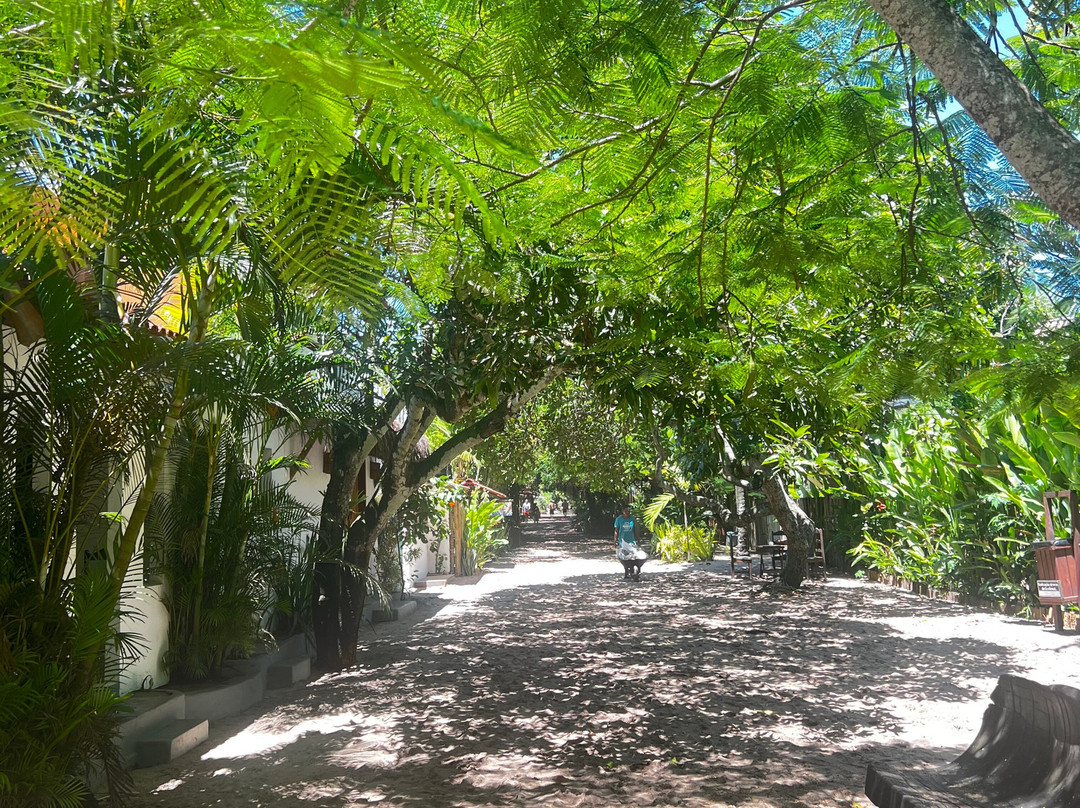 Arraial Trip Experience-Arraial d'Ajuda必去景点