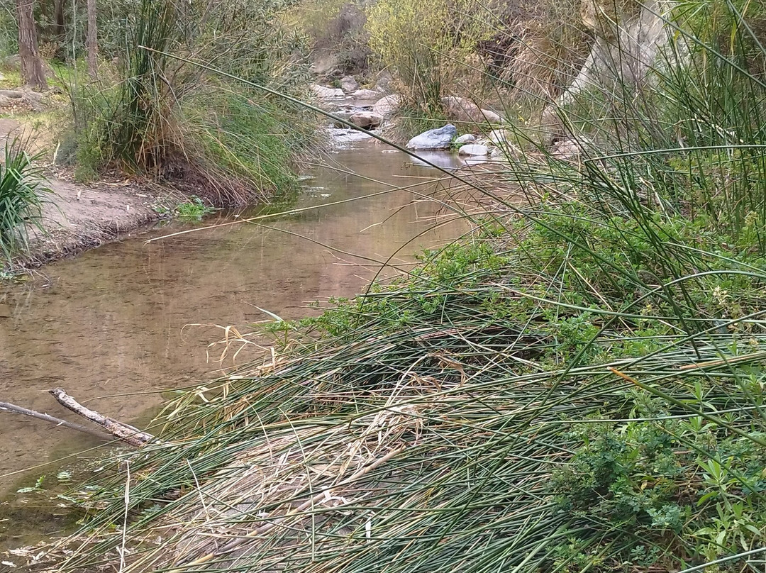 Los Canales De Padules景点图片