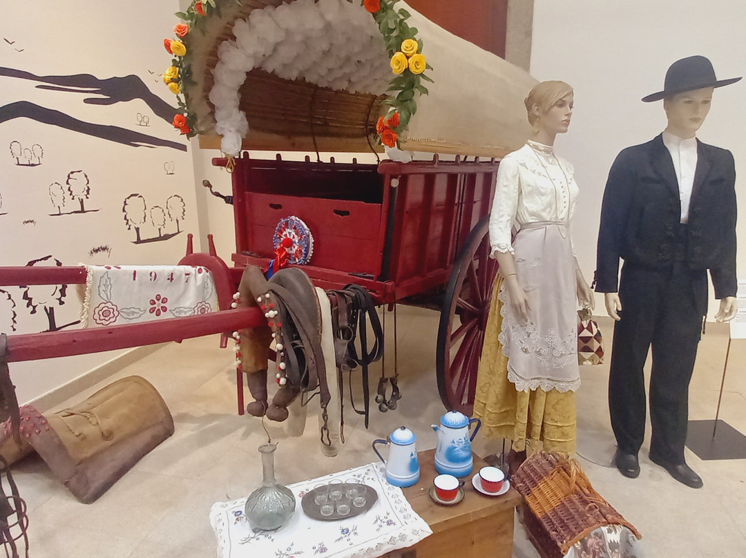 Centro Interpretativo Das Festas Do Povo - Casa Das Flores-Campo Maior必去景点