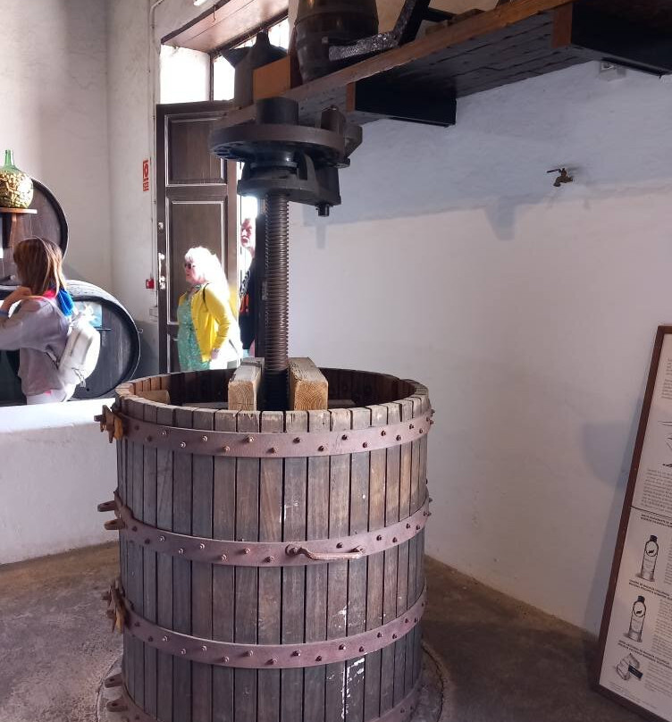 Bodega La Geria景点图片
