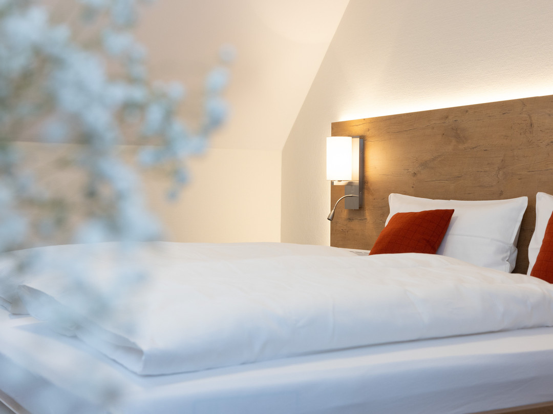 Landhotel Steigenhaus主图