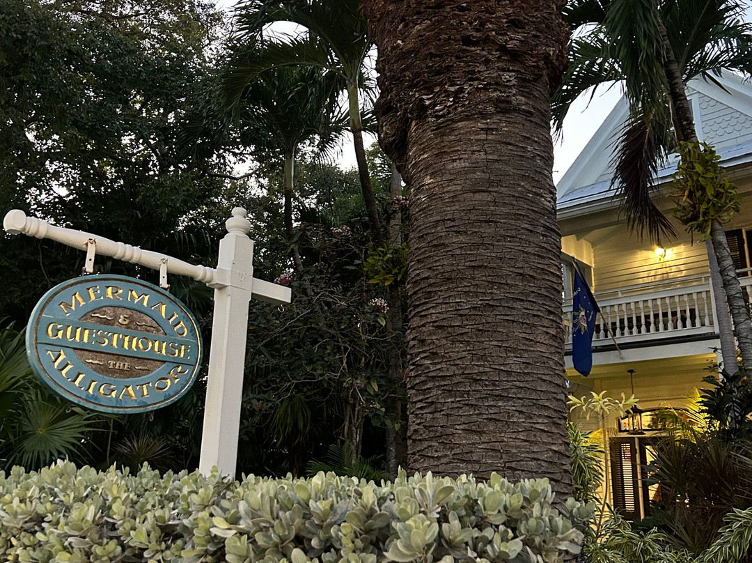 The Mermaid & The Alligator主图