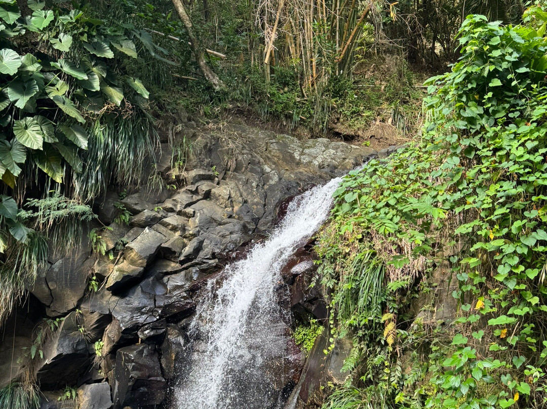 Annandale Falls景点图片