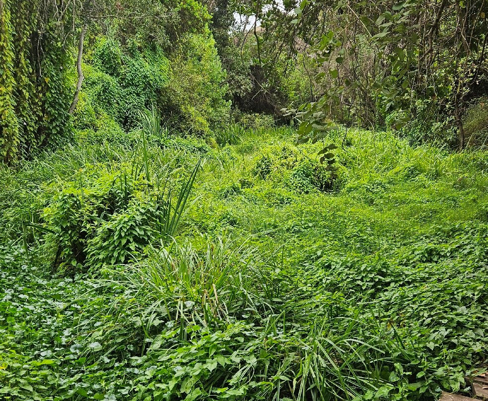 Parque Tricao-Santo Domingo必去景点