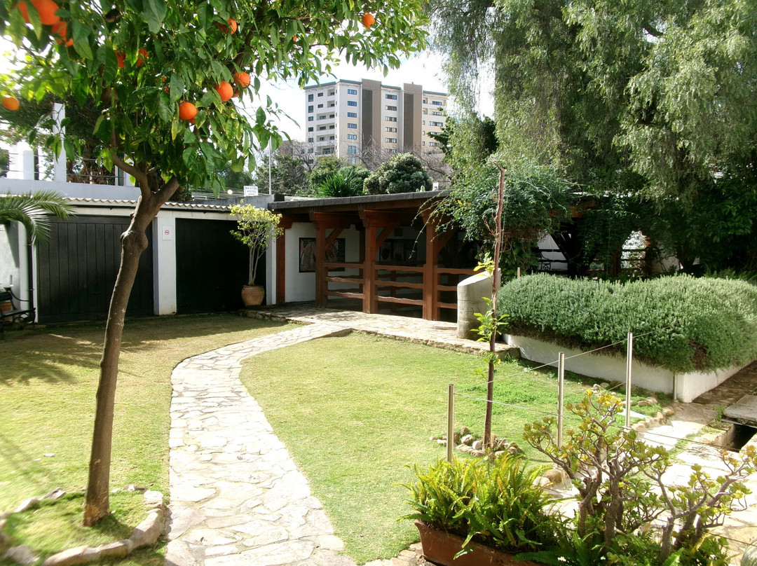 The Gibraltar National Museum-直布罗陀必去景点