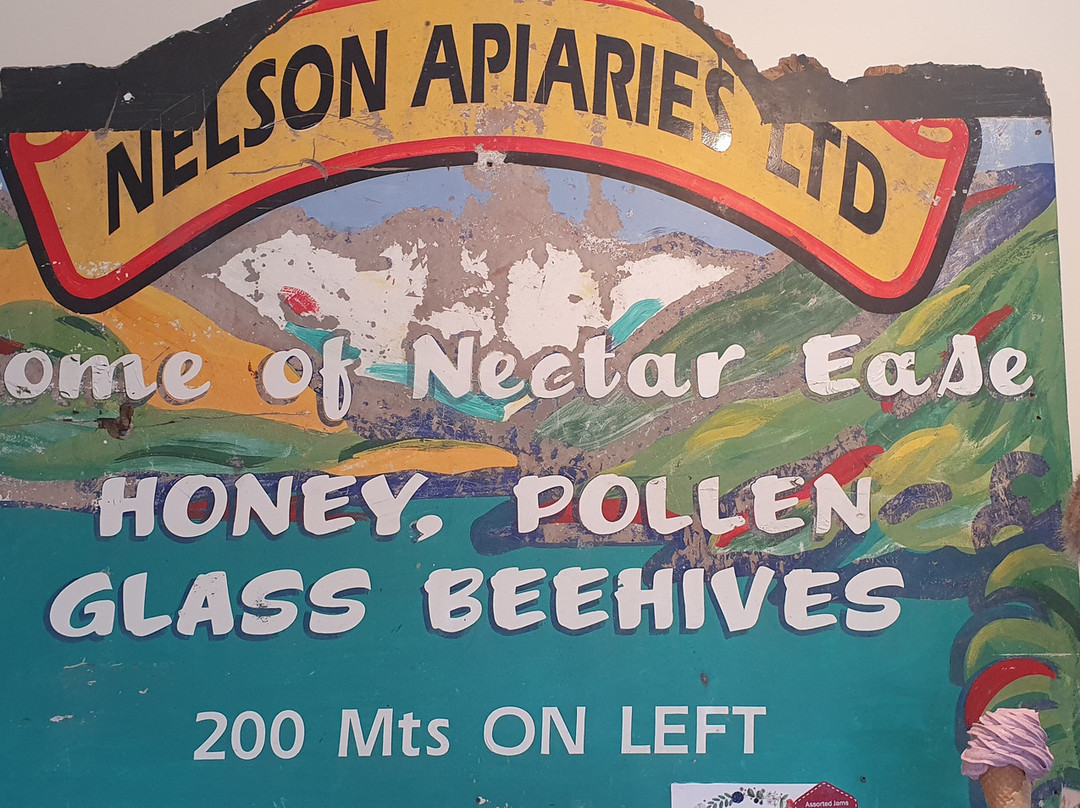 Nelson Honey景点图片