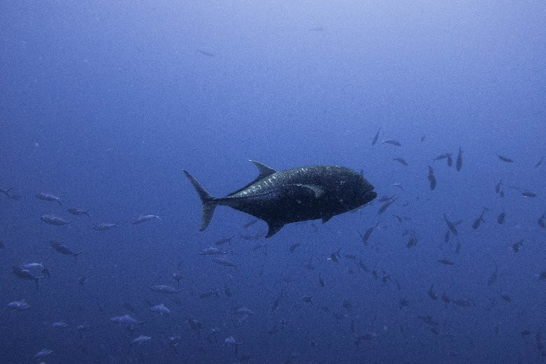 坎董路壶岛酒店主图