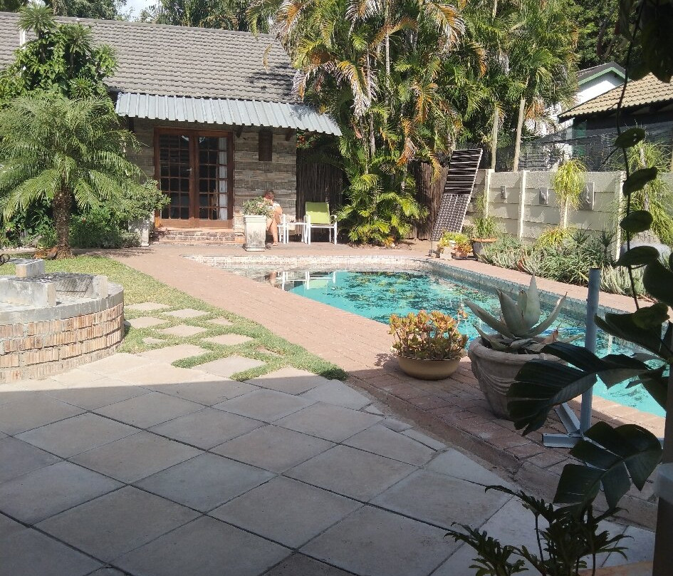 A Traveller's Palm主图