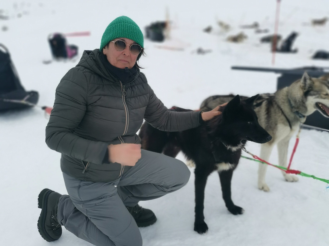 Alpi Traineau景点图片