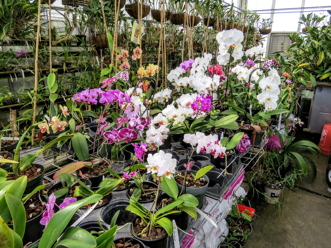 South Texas Botanical Gardens & Nature Center-科珀斯克里斯蒂市必去景点