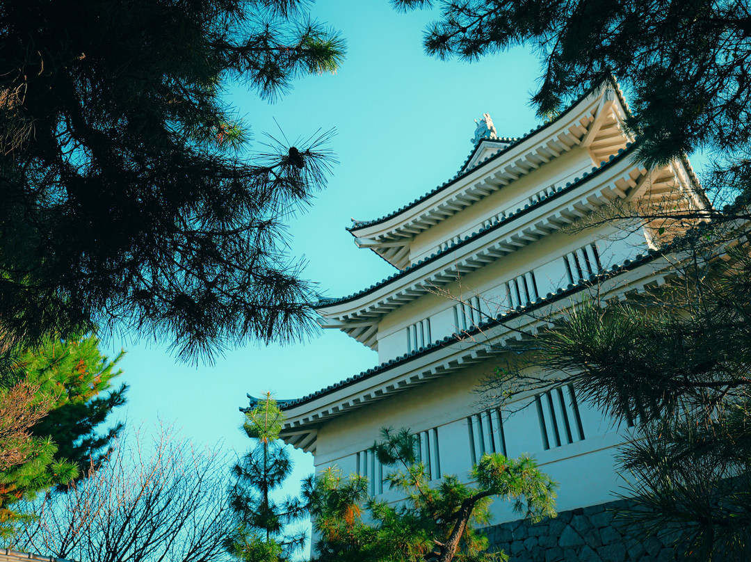 Oshi Castle-行田市必去景点