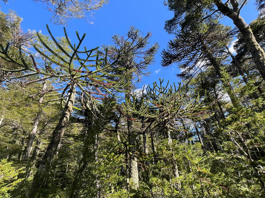 Equs Travel-La Calera必去景点