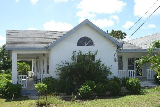 Palm Tree Guest House主图