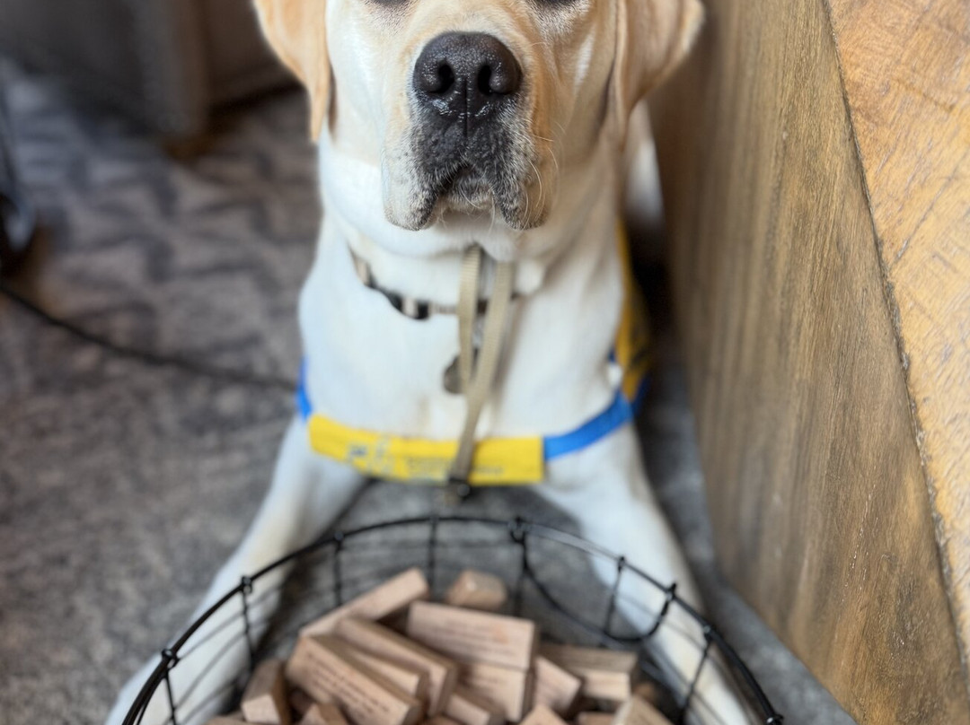 泰纳亚洛奇酒店主图