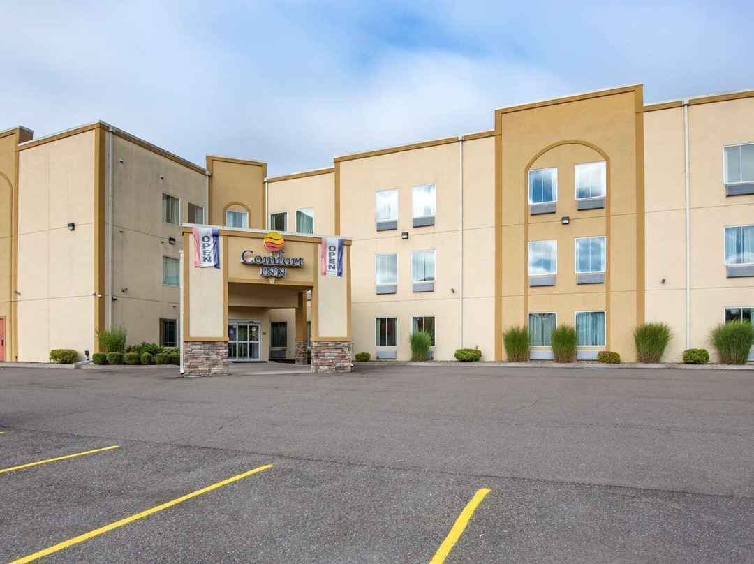Apalachin酒店住宿-Comfort Inn Apalachin / Binghamton W Route 17